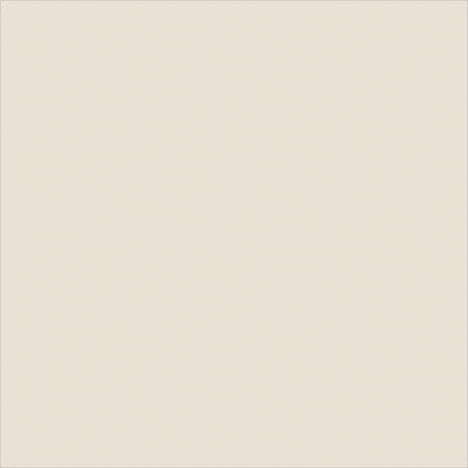 Gresie portelanata rectificata 60 x 60 - model Ivory